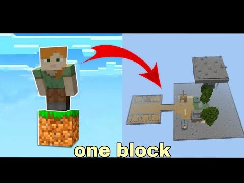 Insane 1 Block World Build - Minecraft Madness