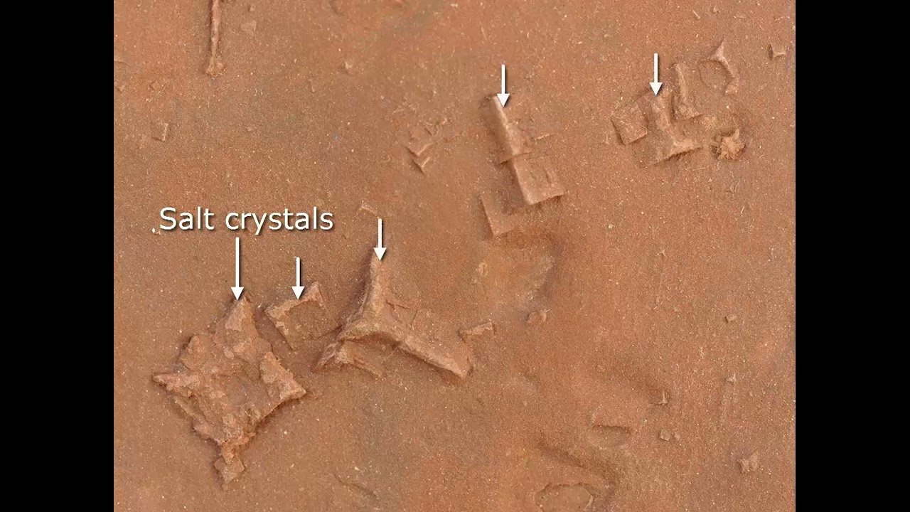 Mobile field trip video