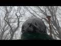 Bellows - "Bureaucratic Tower" (Official Music Video)