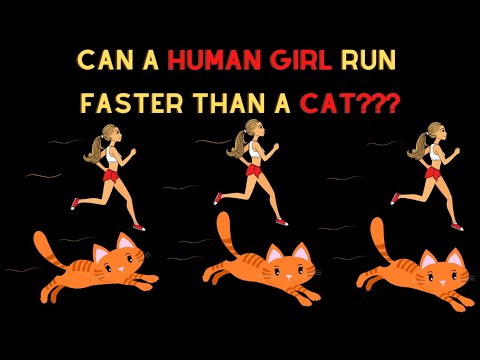 Can A Girl Run Faster Than A Cat??? CAN A GIRL RUN FASTER THAN A CAT???