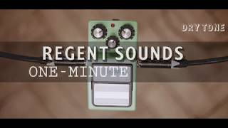 Video thumbnail for Maxon OD-9 by Regent Sounds