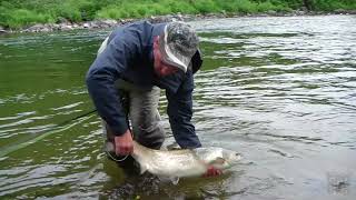 Pêche au saumon 2017