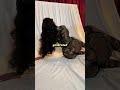 Megan Thee Stallion Sex Tape Leaked