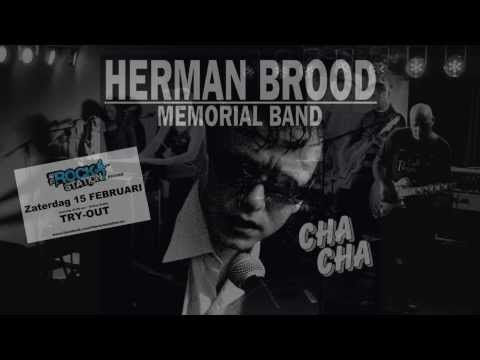 'Rock & Roll Junkie' - Cha Cha (Herman Brood Memorial Band)
