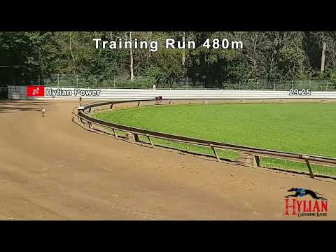 Rotterdam 2023-08-20