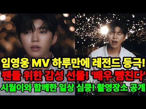 임영웅 &#39;배우 뺨친다&#39; 팬들 위한 감성 선물! 뮤비 하루만에 대박났다! 시월이와 함께한 일상 …