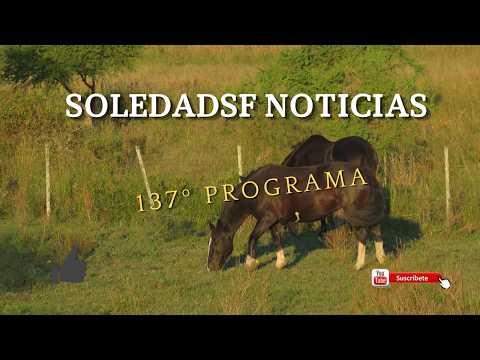 Soledadsf Noticias 137º Programa