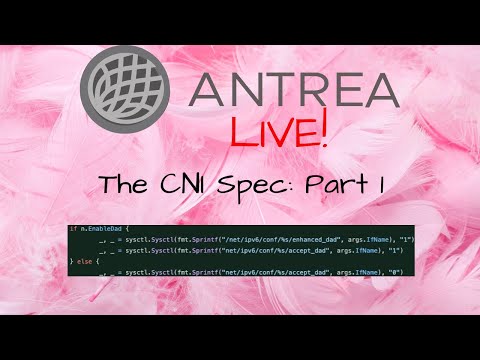 Episode 16: The CNI Specification (Part 1)
