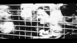 HVN196 - The Soft Pack &#39;C&#39;mon&#39;