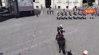 Ecco Briciola, il cane mascotte al cambio della Guardia in forma solenne al Quirinale
