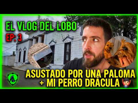 MILAGRO en el CEMENTERIO de Arrecifes | #3: pseudo scouting y mi perro Drácula
