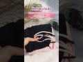 Meesho Set Of 2 Lightly Padded Bra ️ Under 250 Shorts Meesho Yt Ytshort Meeshohaul Short