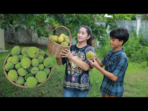 Pick Santol Fruit and cook food helped by my brother | Santol Fruit Marinating | Fresh fruit eating