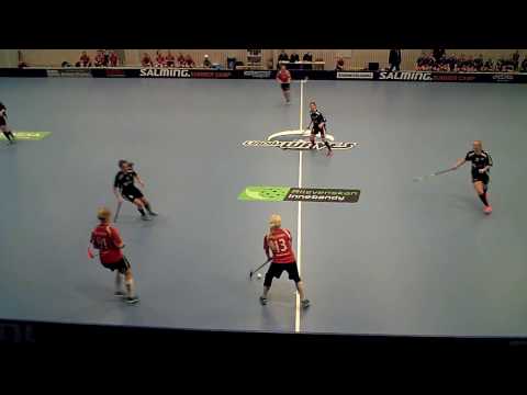 170131 Damer Div.1 Lindås IBK - Marstrands IBK (3-1) HD Per1