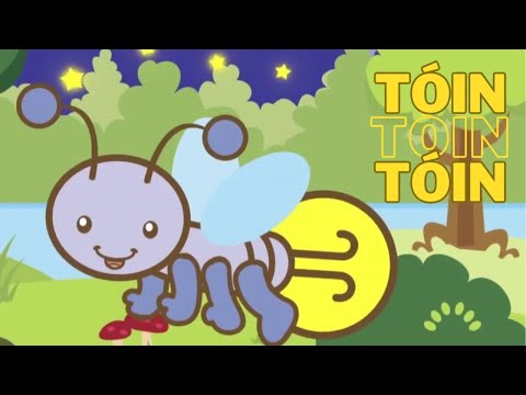 TÓIN TÓIN TÓIN 🐝 Música Infantil Educativa com animais da Floresta | Animazoo Kids 🦁🐼🐵🦒🦜