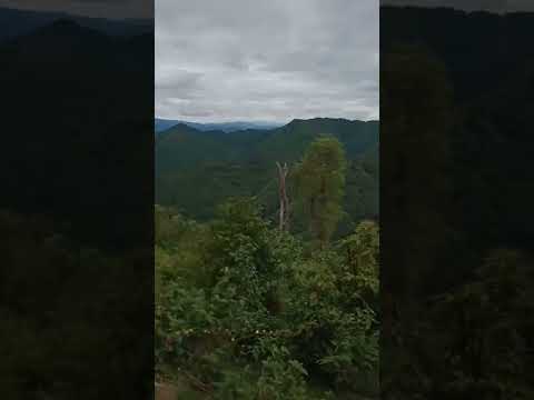 tij laug kuam lauj xov tooj cua Vientiane tham txog txij nkawm txoj kev sib hlub.