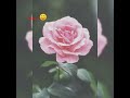 Tumko Dekha To Ye Khayal Aaya Whatsapp Status