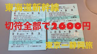 【は？安過ぎじゃね？】東海道新幹線を2600円で東京ー静岡往復旅 前編 《東海道新幹線01-1》
