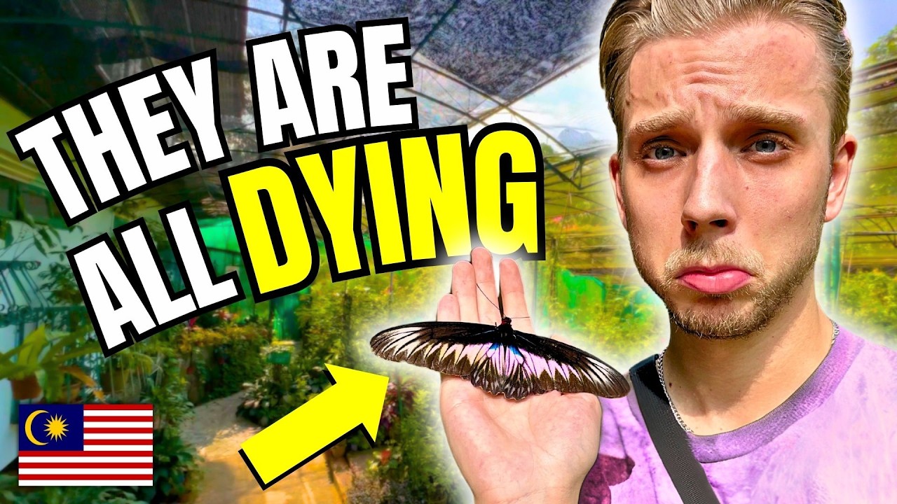 A traveler immerses themselves in the vibrant beauty of Kuala Lumpur's Butterfly Park.