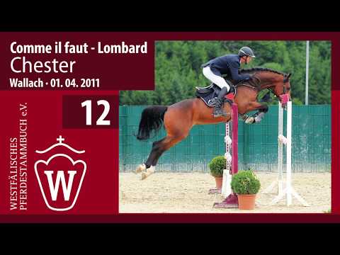 12 Chester Wallach v. Comme il faut - Lombard