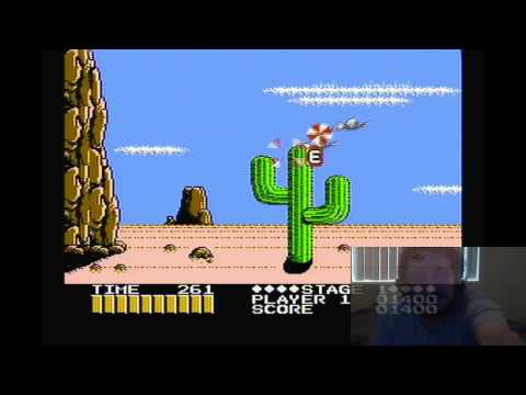 Decent NES Zapper Games - Shooting Range