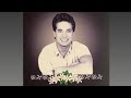 Eugene Wolfgramm Hunt Tribute Concert The Jets 4 25 2024