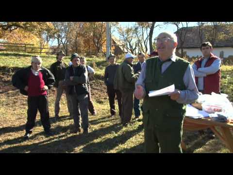 Ivóvölgye favágóverseny