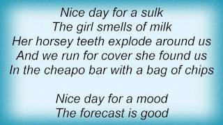 Belle And Sebastian - Nice Day For A Sulk Lyrics