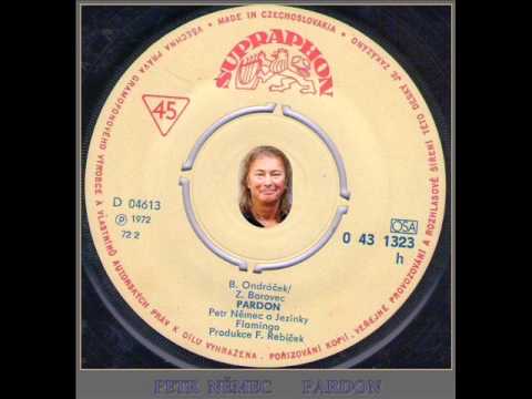 291/ PETR NĚMEC - PARDON