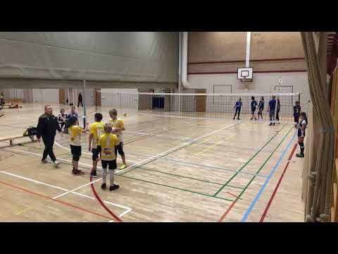 Vilepa mustat-Salpis D-tytöt Jaguars