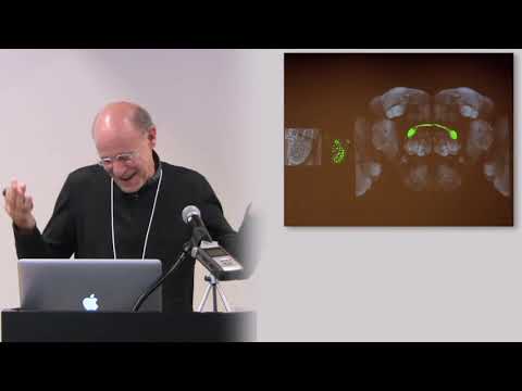 Larry Abbott- Beautiful Thoughts from Ugly Neurons (October 26, 2011)