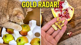 Download lagu OMG ! These genius pets？ mp3