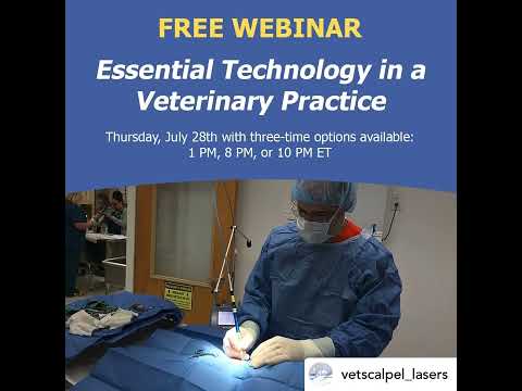 Dr. Boaz Man invited to speak in Webinar about Technology in Vet Med !
