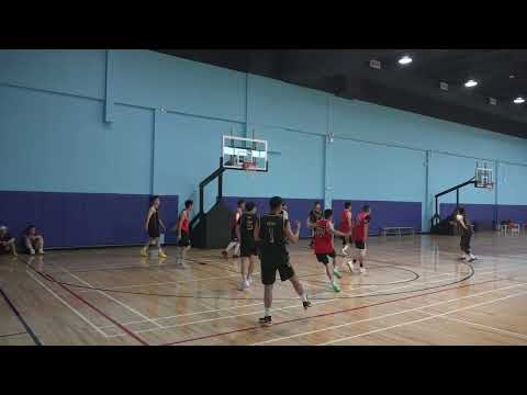 Calin Stone(54) tier 11 - 2023 SUMMER T-Rex(48) - tcbl sunday