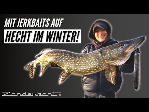 Pike fishing in winter: How to use a jerkbait correctly