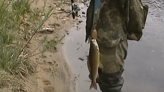 Блёсна блю фокс на ленка