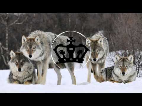 V7 CLUB MAGNUM – Мои Друзя