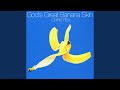 God's Great Banana Skin Chris Rea