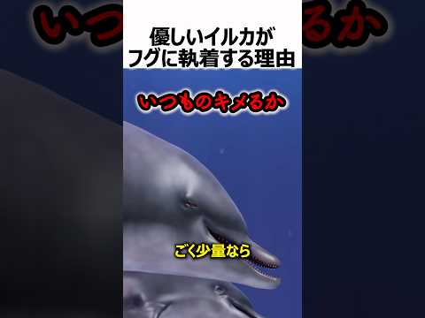 優しいイルカがブクマに執着する理由