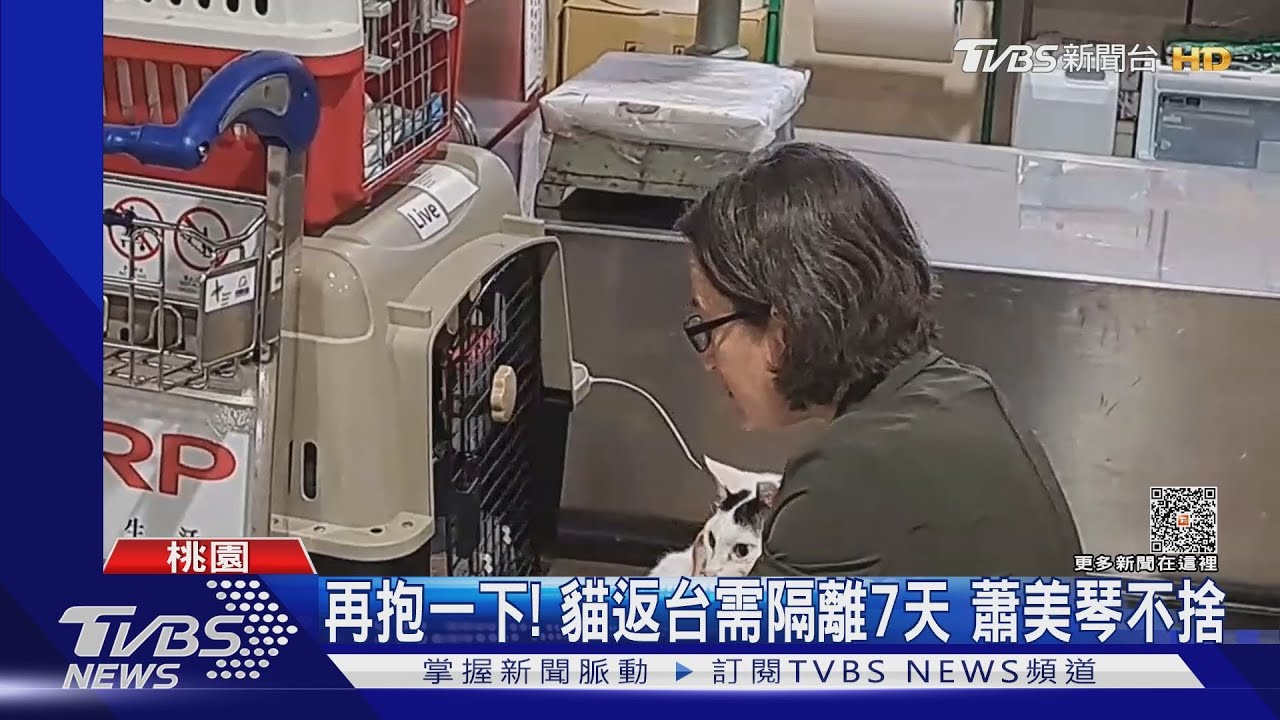 返美快閃3天! 蕭美琴清晨帶4隻愛貓回台