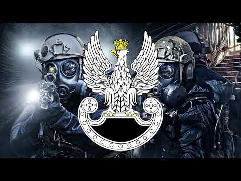 Saluth o/o/o/ - Operacja 'Bielik'