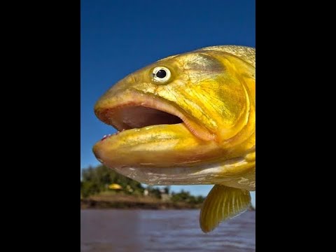 Esquina - Corrientes