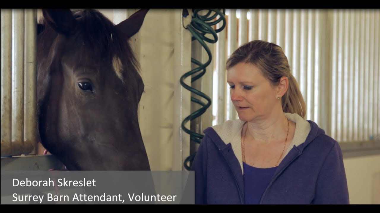 BC SPCA volunteer video