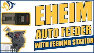 Eheim Auto Feeder with Feeding Station: What YOU Need to Know