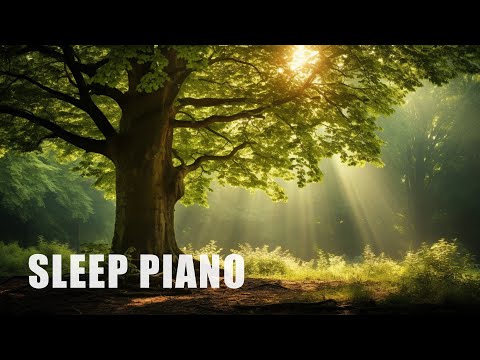 12 Hours of Relaxing Music - Piano Music for Stress Relief, Sleep Music, Meditation Music (Iris)