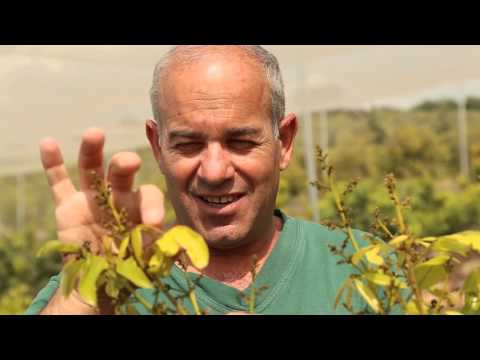 סרט תדמית מו"פ צפון מיגל