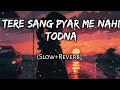 Tere Sang Pyar Me Nahi Todna(Slow+Reverb) Hindi Sad Song (use headphone🤣😈)