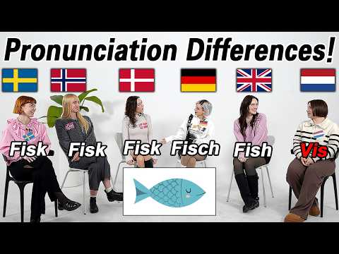 6 Country's Word differences in Grocery store!!! l Sweden, Germany, Netherlands, Norway, Denmark, UK