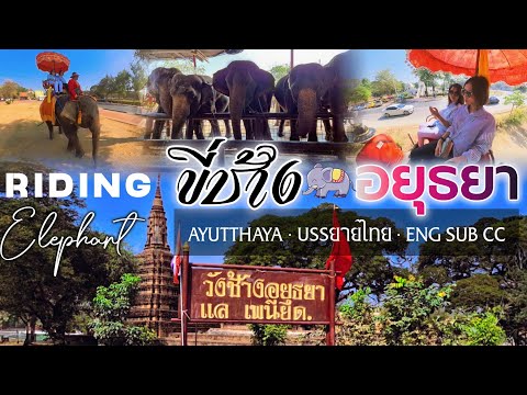 Ayutthaya Elephant Palace Royal Kraal