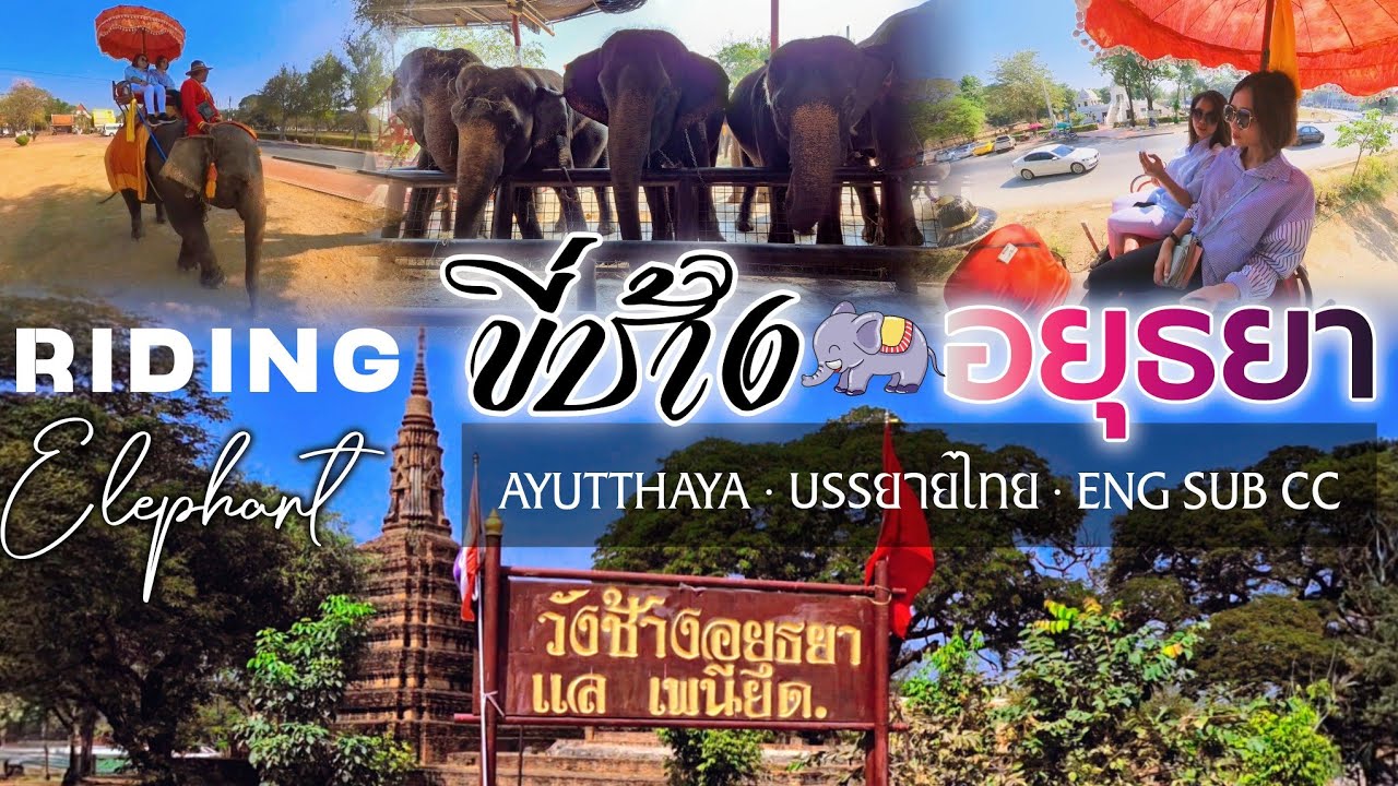 Ayutthaya Elephant Palace Royal Kraal